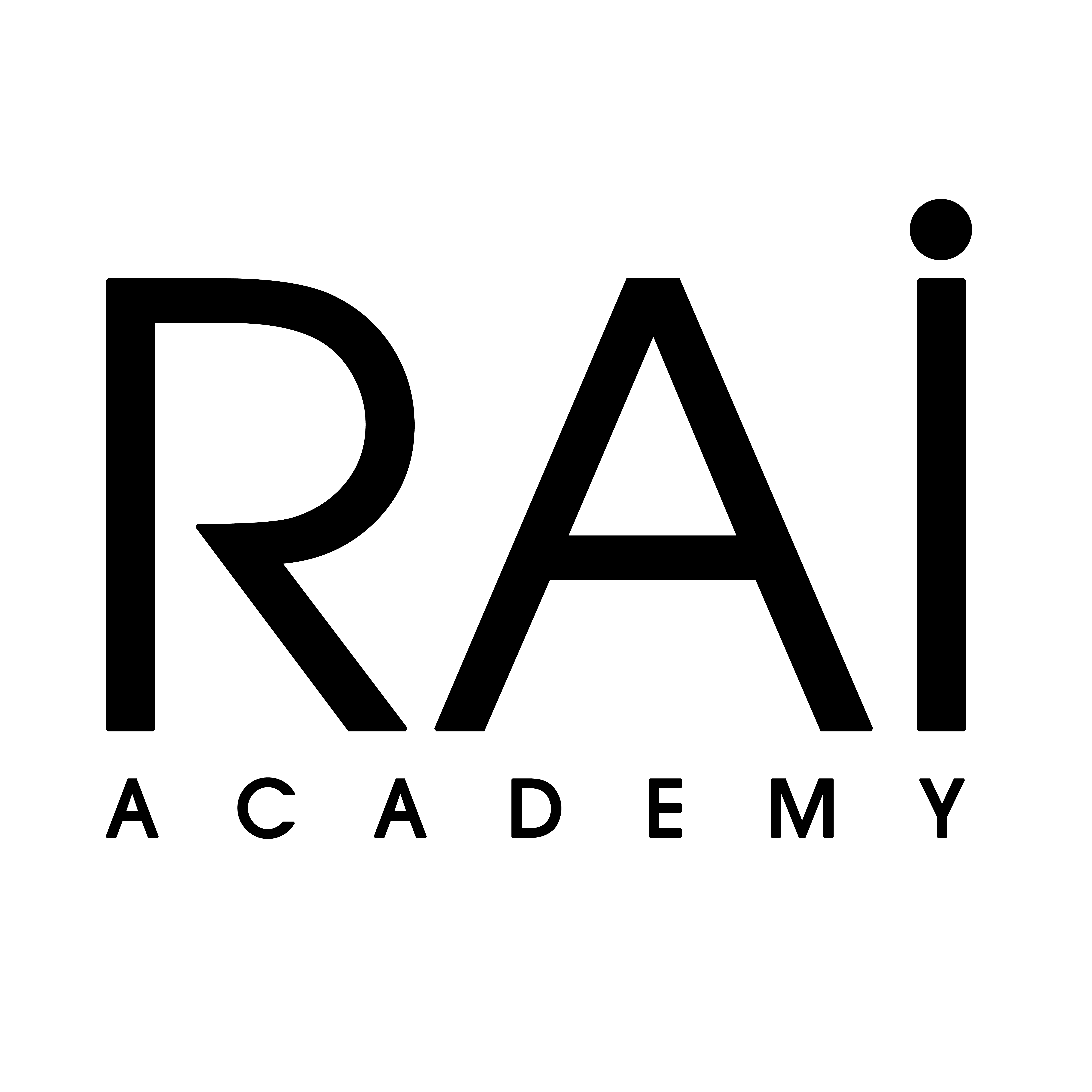 RAI ACADEMY